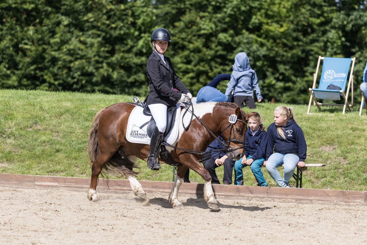 Bild 15 - Pony Akademie Turnier